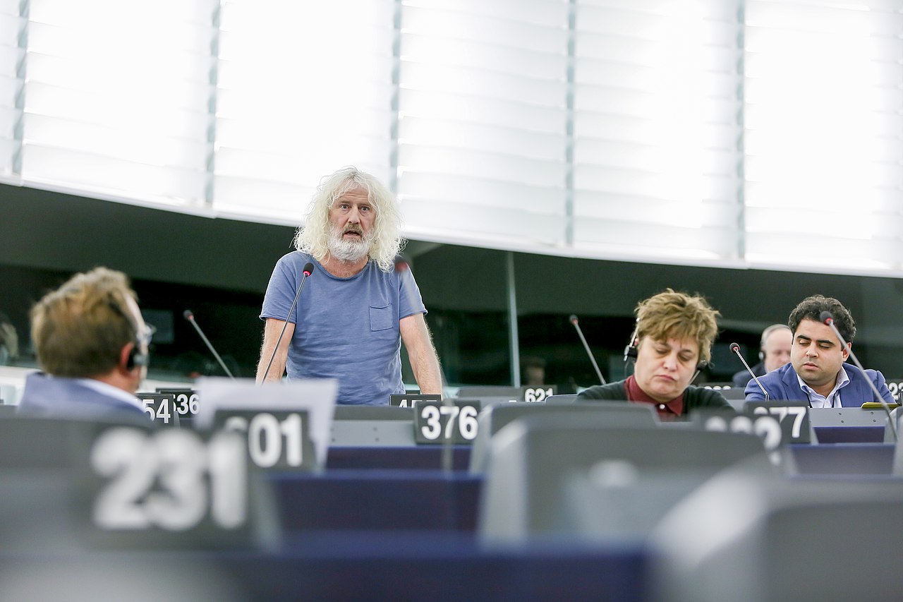 Mick Wallace, Irish politician