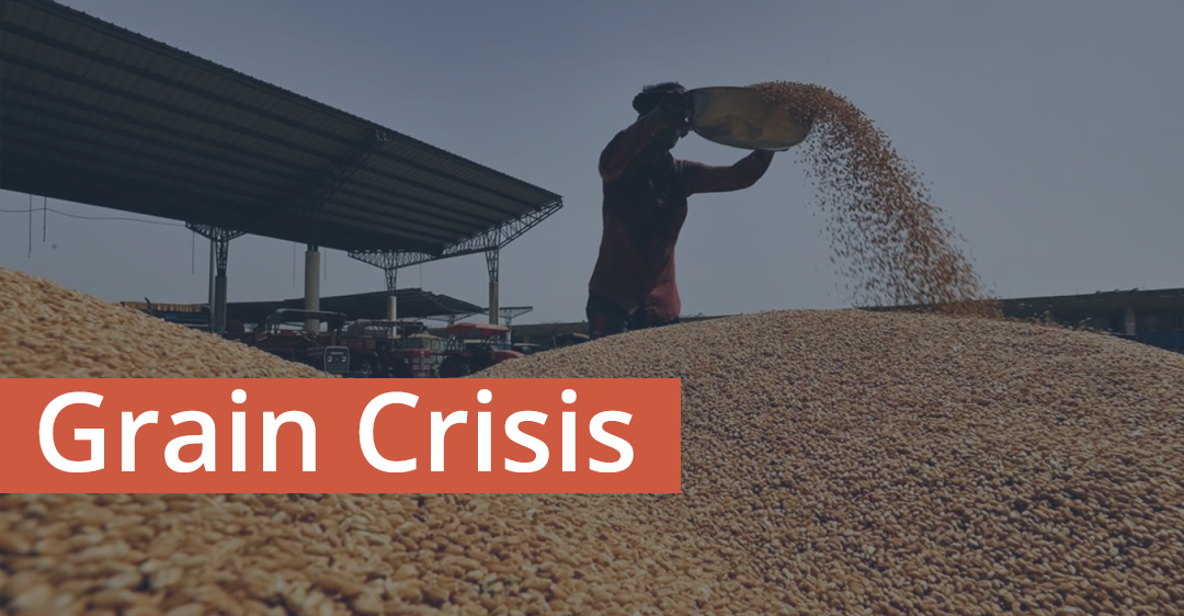 Navigating the Grain Crisis: Expert Insights on the Black Sea Grain Initiative’s Collapse