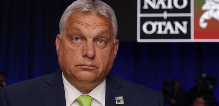 Hungary wants a special format of NATO membership through Ukraine