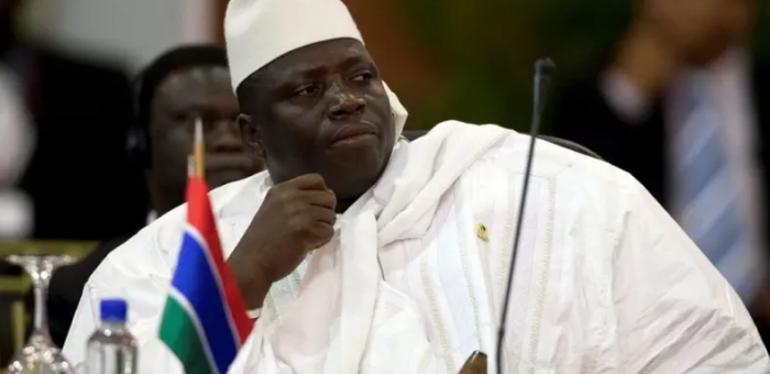 Ukraine and the Gambia resume high-level contact for the first time in 20 years
