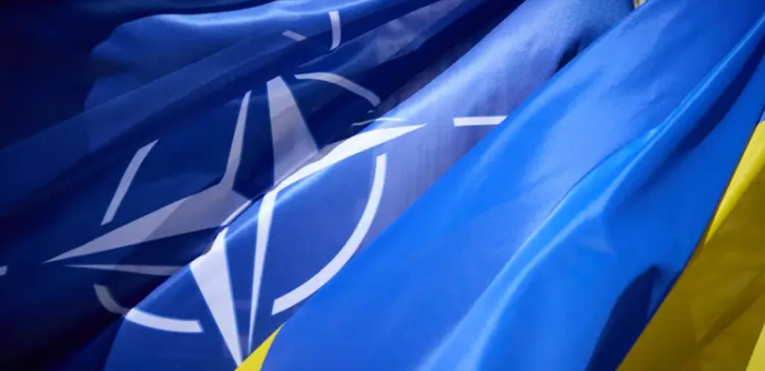 Ukraine may become ‘updated Sweden’ instead of NATO membership — The Hill