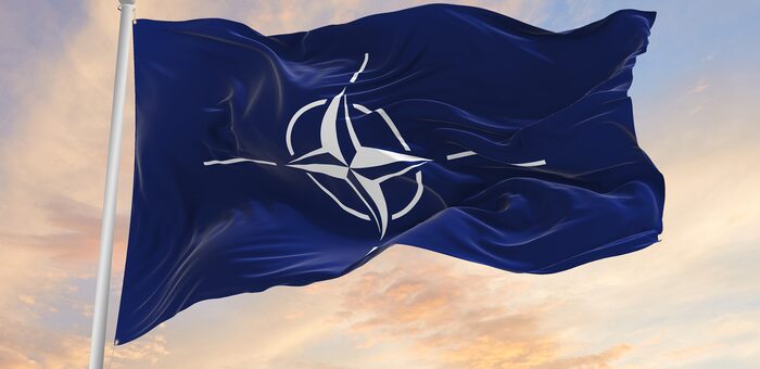 Politico: 7 NATO members oppose Ukraine’s accession to the Alliance