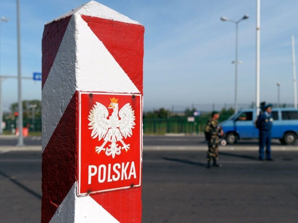 Bypassing sanctions: how Belarusian timber is smuggled into the EU through Poland