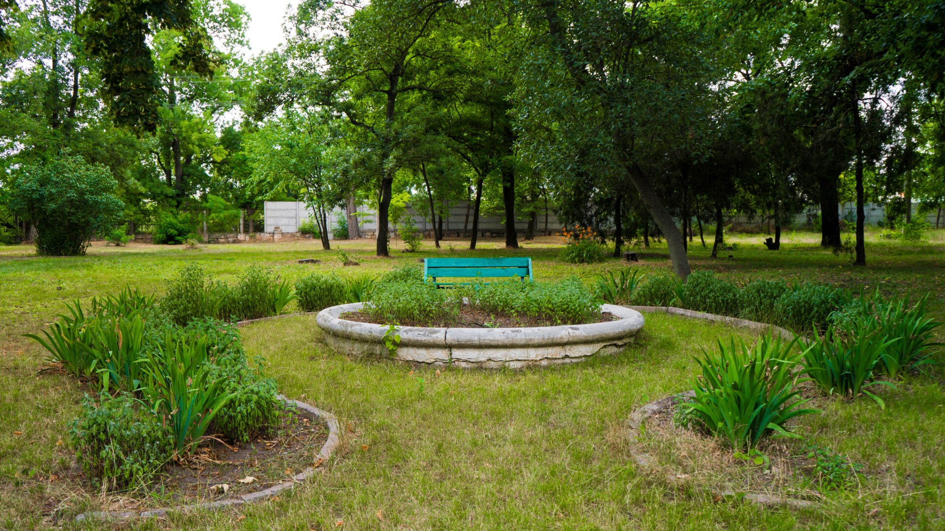 Bench in Zelenaya Gorka garden surrounded by greenery — future place of peace and recovery in Odesa