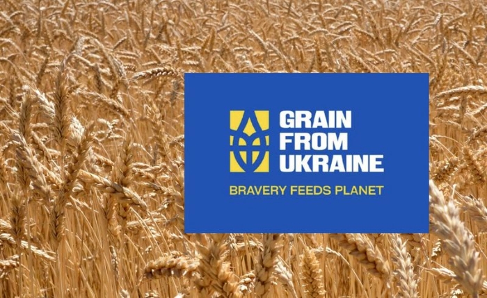 The “Grain from Ukraine” initiative logo displayed against a golden wheat field. The program delivers Ukrainian grain as humanitarian aid to countries in need under the slogan “Bravery Feeds Planet.