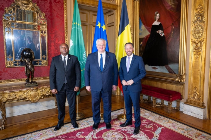 Diplomatic meeting with representatives standing before the flags of the African Union, European Union, and Belgium in an ornate hall. The photo symbolizes international cooperation and dialogue between European and African partners.