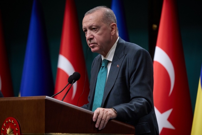 Turkish President Recep Tayyip Erdogan is depicted on the tribune during the press conference with Volodymyr Zelenskyy on November 19