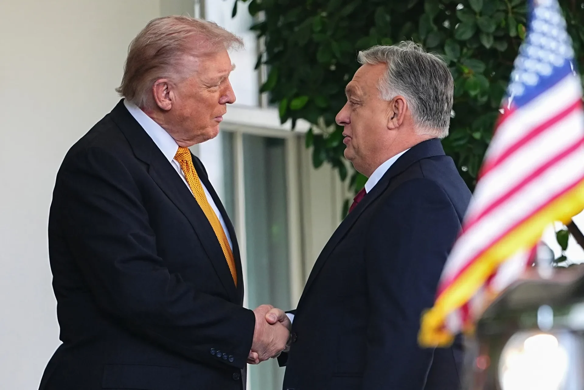 A Year Without Sanctions for Hungary — New Challenges for Ukraine?