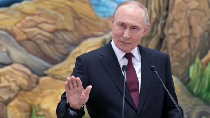 The picture portrays Vladimir Putin