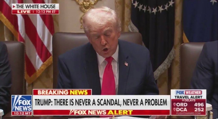 The picture portrays Donald Trump