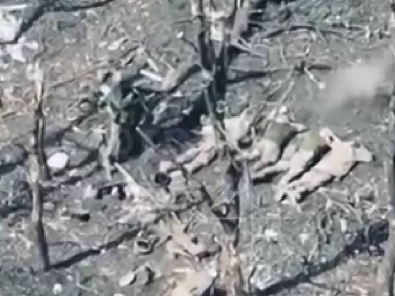 Settlement of Kotlyne, Pokrovsk district, execution of five Ukrainian POWs.