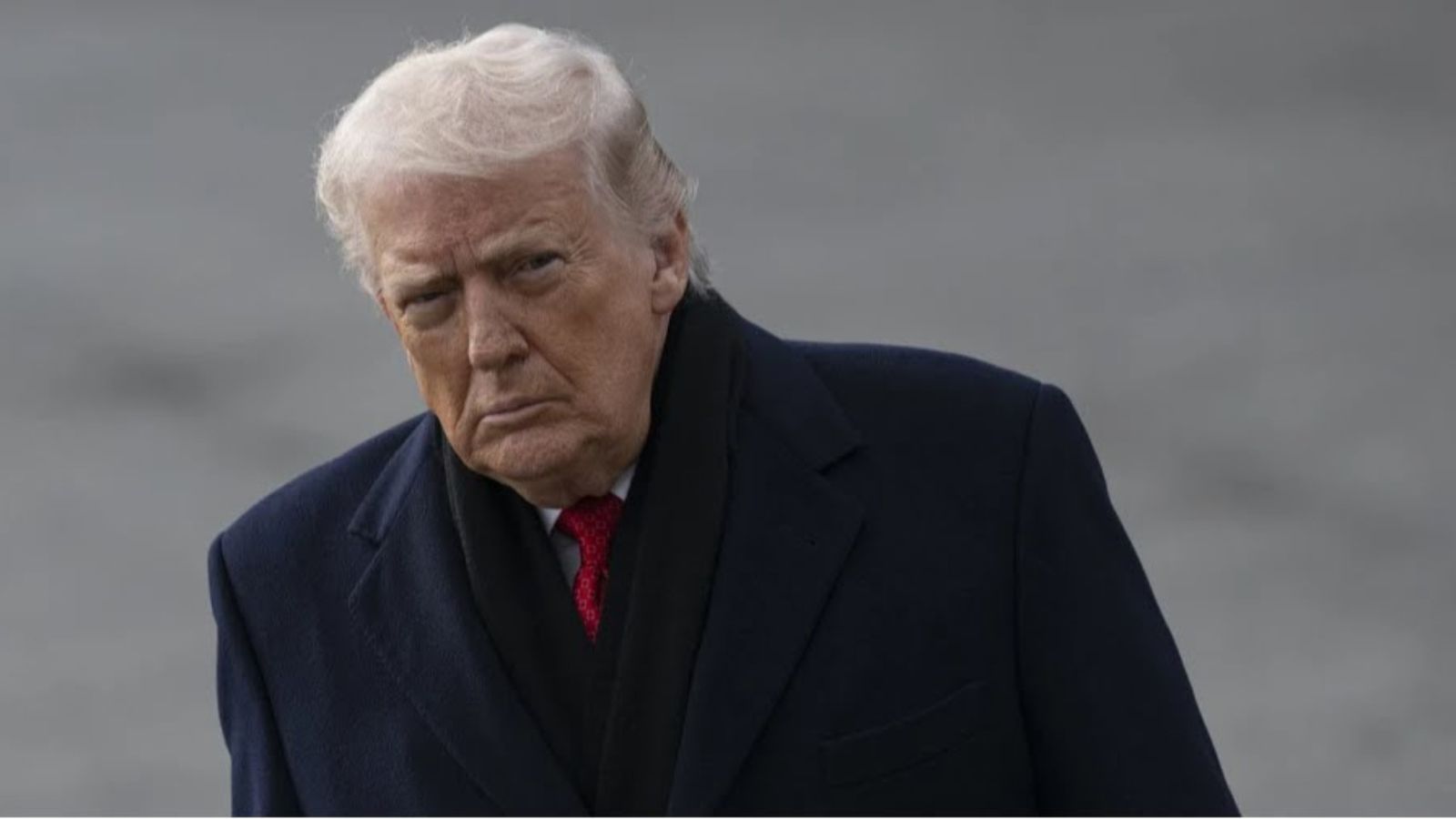 A portrait of Donald Trump wearing a dark overcoat, white shirt, and red tie against a blurred grey background.