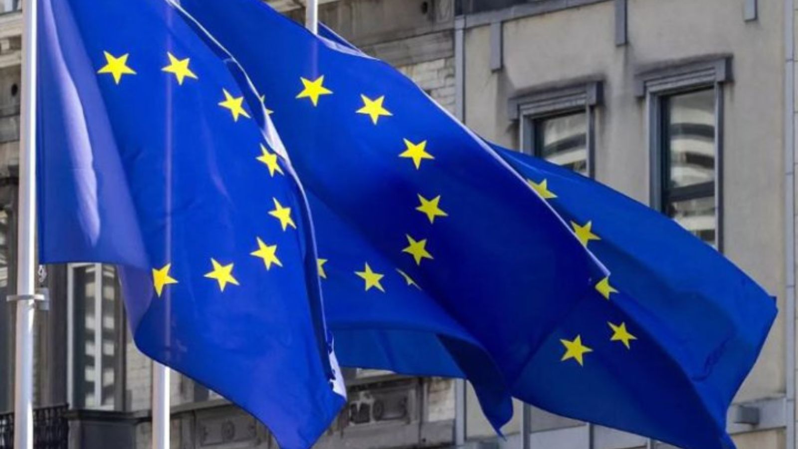 A row of European Union flags waving in front of a European institution building in Brussels.