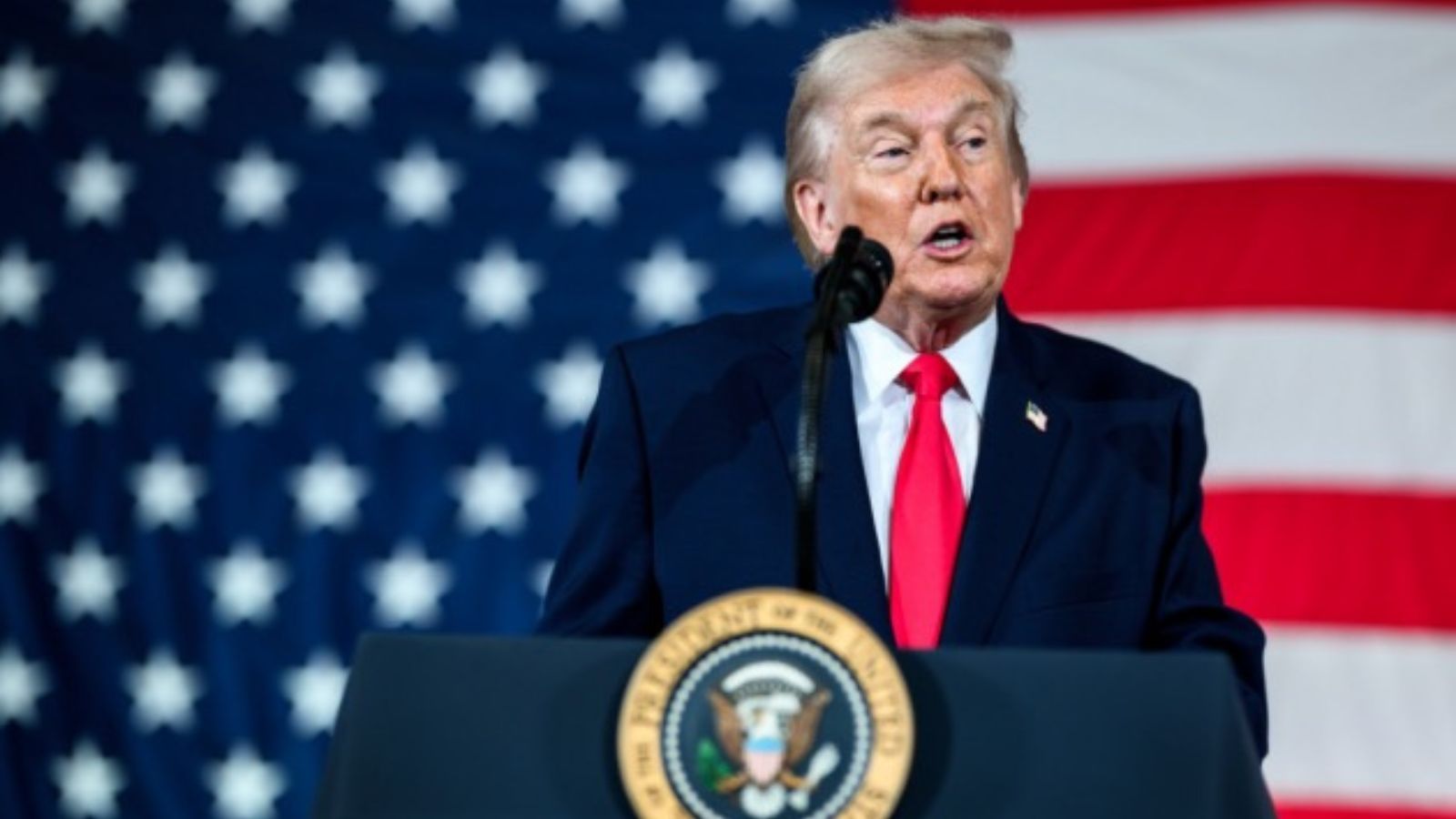 Official portrait of US President Donald Trump against the backdrop of the flag.