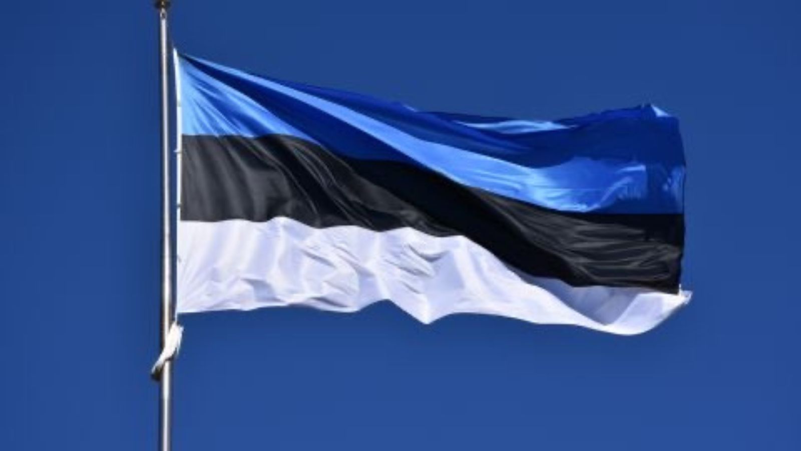 The Russian Federation may pull off the “Donetsk scenario” in Estonia