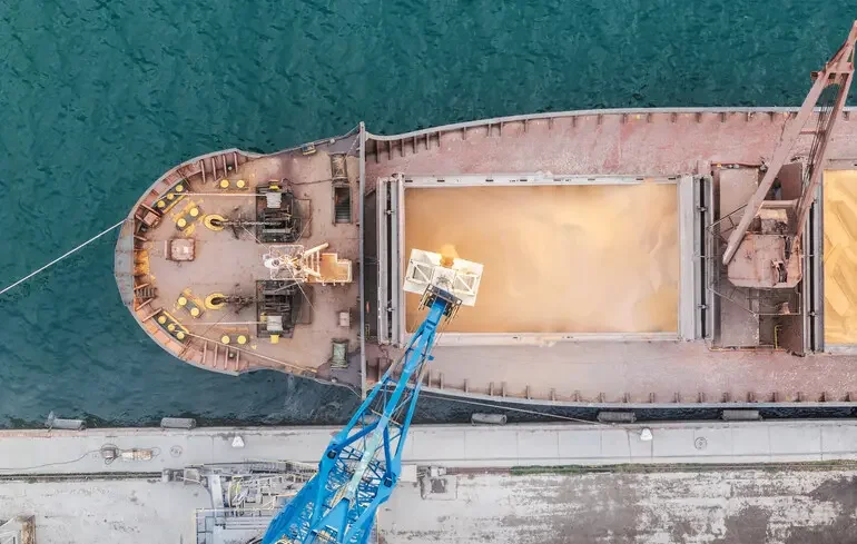 Ukrainian grain from temporarily occupied territories